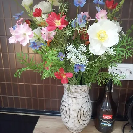 Veliki Park דירה *