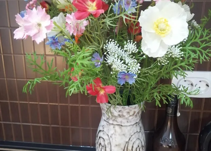 Veliki Park Lejlighed *